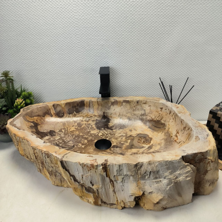 Раковина из окаменелого дерева Fossil Basin OD-02459 (74*47*17) 0090