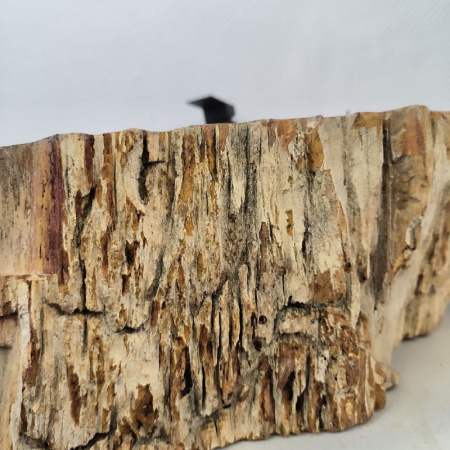 Раковина из окаменелого дерева Fossil Basin OD-02485 (70*55*16) 0090