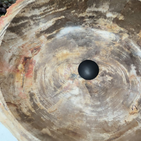 Раковина из окаменелого дерева Fossil Basin OD-02394 (57*47*14) 0090