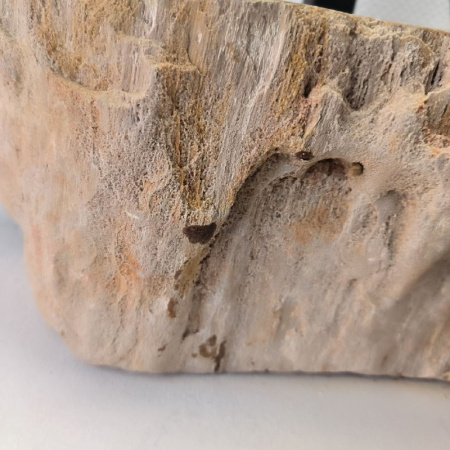 Раковина из окаменелого дерева Fossil Basin OD-02469 (52*30*16) 0092