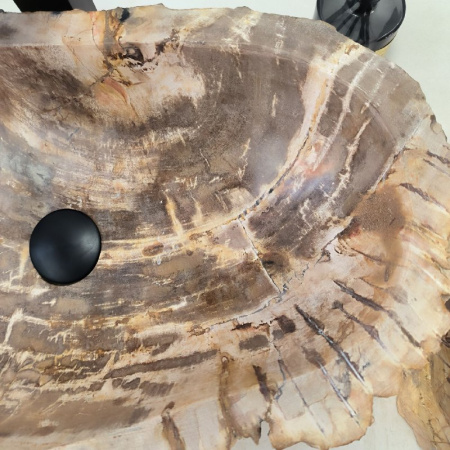 Раковина из окаменелого дерева Fossil Basin OD-02444 (58*34*15) 0088