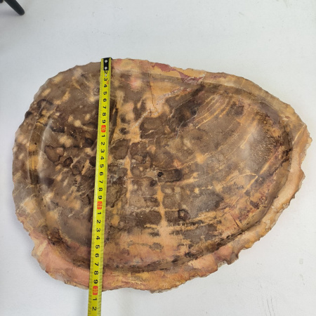 Набор из окаменелого дерева 4 предм Fossil Set NF-02855 поднос 30см*40см