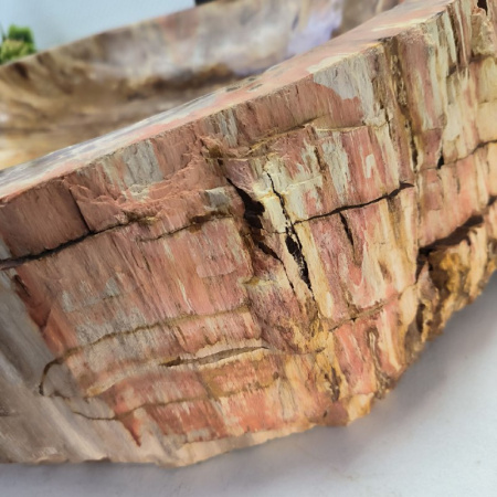 Раковина из окаменелого дерева Fossil Basin OD-02389 (69*51*16) 0090