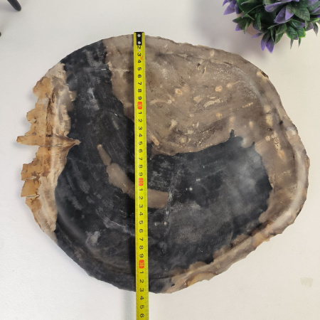 Набор из окаменелого дерева 4 предм Fossil Set NF-03063 поднос 33см*38см