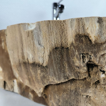 Раковина из окаменелого дерева Fossil Basin OD-02157 (48*39*15) 0088