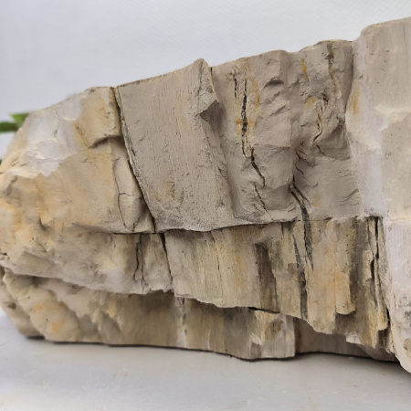 Раковина из окаменелого дерева Fossil Basin OD-02491 (64*53*15) 0090