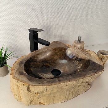 Раковина из окаменелого дерева OD-66071 59х45х14 из натурального камня
