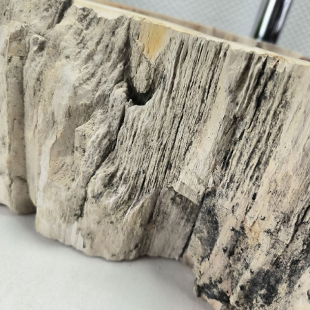 Раковина из окаменелого дерева Fossil Basin OD-02133 (58*41*15) 0088
