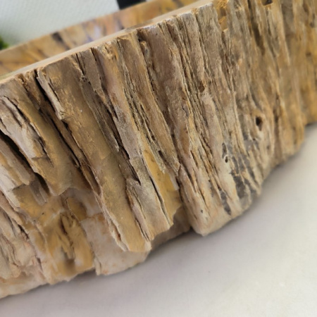 Раковина из окаменелого дерева Fossil Basin OD-02465 (58*53*16) 0092