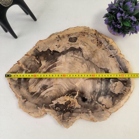 Набор из окаменелого дерева 4 предм Fossil Set NF-02858 поднос 35см*44см