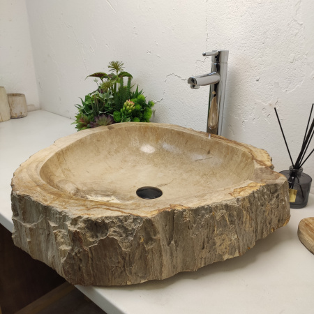 Раковина из окаменелого дерева Fossil Basin OD-01235 (59*56*13) 