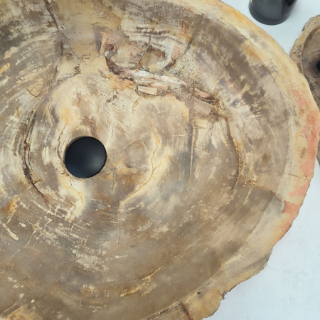 Раковина из окаменелого дерева Fossil Basin OD-02387 (65*49*13) 0090