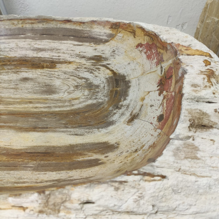 Раковина из окаменелого дерева Fossil Basin OD-01331 (89*43*15) 