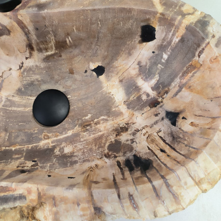 Раковина из окаменелого дерева Fossil Basin OD-02363 (57*34*15) 0089