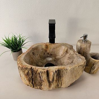 Раковина из окаменелого дерева OD-66062 38х31х15 из натурального камня