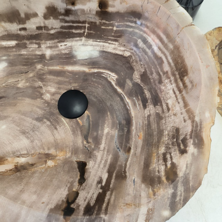 Раковина из окаменелого дерева Fossil Basin OD-02421 (55*49*15) 0089