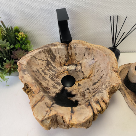 Раковина из окаменелого дерева Fossil Basin OD-02466 (43*41*15) 0092