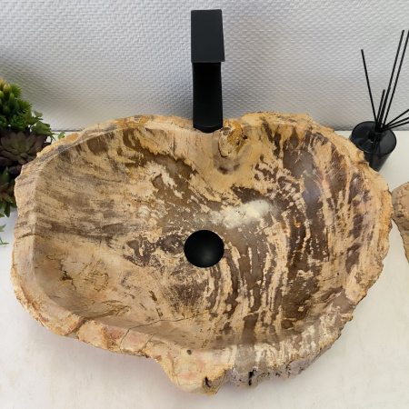 Раковина из окаменелого дерева Fossil Basin OD-02418 (55*40*15) 0088