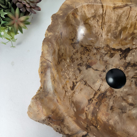 Каменная раковина из окаменелого дерева OD-04392 (57*54*16) 0176 из натурального камня