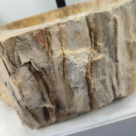 Раковина из окаменелого дерева Fossil Basin OD-02396 (64*49*16) 0090