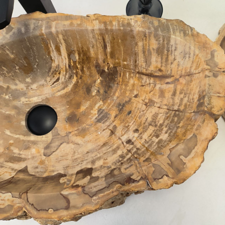 Раковина из окаменелого дерева Fossil Basin OD-02472 (70*35*15) 0090