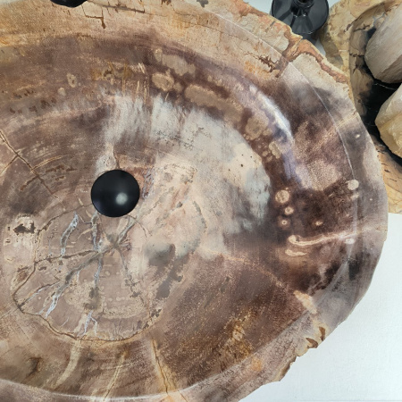 Каменная раковина из окаменелого дерева OD-04825 (60*53*16) 0176 из натурального камня