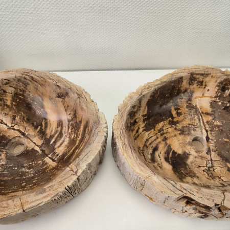 Раковина из окаменелого дерева ПАРА!! Fossil Basin OD-02099 (57*46*16) 0092