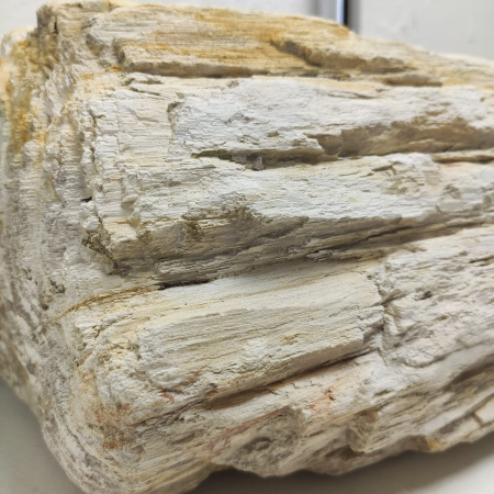Раковина из окаменелого дерева Fossil Basin OD-01336 (86*35*18) 