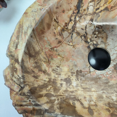 Каменная раковина из окаменелого дерева OD-04311 (45*33*15) 0175 из натурального камня