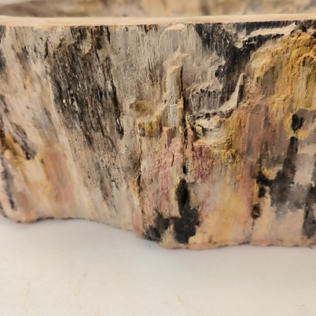 Раковина из окаменелого дерева Fossil Basin OD-02484 (67*44*16) 0091