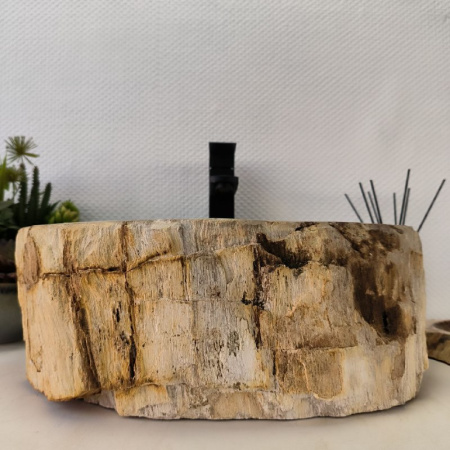Раковина из окаменелого дерева Fossil Basin OD-02430 (45*37*15) 0088
