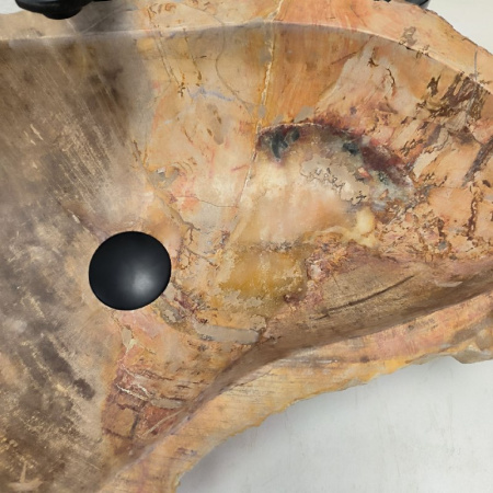 Раковина из окаменелого дерева Fossil Basin OD-02393 (70*37*15) 0090