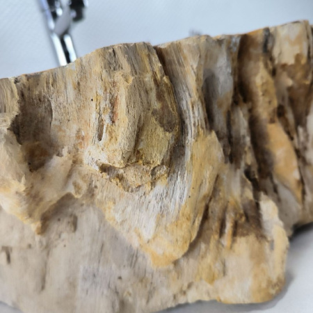 Раковина из окаменелого дерева Fossil Basin OD-02144 (54*43*15) 0089 