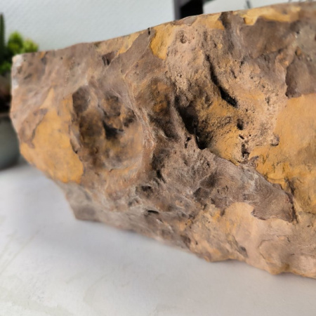 Раковина из окаменелого дерева Fossil Basin OD-02376 (49*46*15) 0089