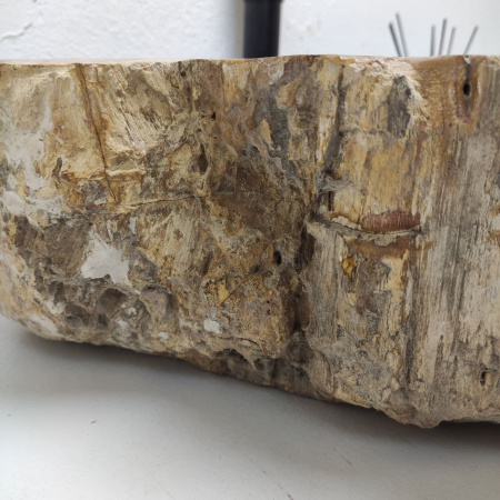 Раковина из окаменелого дерева Fossil Basin OD-01216 (76*46*15) 