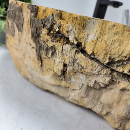 Раковина из окаменелого дерева Fossil Basin OD-02398 (68*50*16) 0090