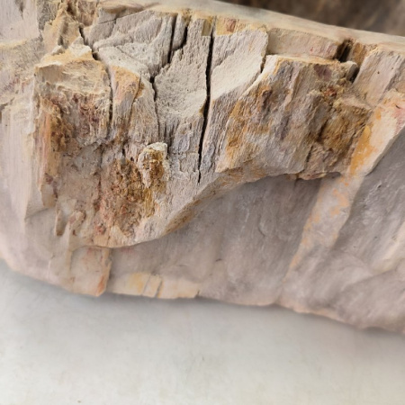 Раковина из окаменелого дерева Fossil Basin OD-02443 (45*41*15) 0088