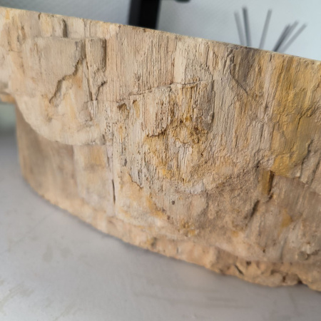 Раковина из окаменелого дерева Fossil Basin OD-02361 (58*50*15) 0090