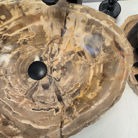 Раковина из окаменелого дерева Fossil Basin OD-02492 (57*47*16) 0088