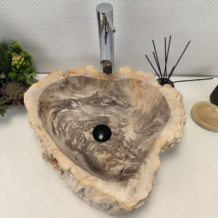 Раковина из окаменелого дерева Fossil Basin OD-02161 (53*47*14) 0089