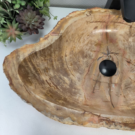 Каменная раковина из окаменелого дерева OD-04303 (63*40*15) 0176 из натурального камня