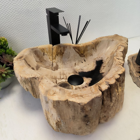 Раковина из окаменелого дерева Fossil Basin OD-02488 (54*39*15) 0092