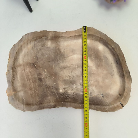 Набор из окаменелого дерева 4 предм Fossil Set NF-03068 поднос 27см*38см