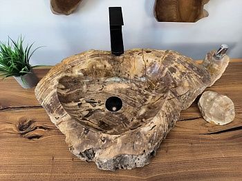 Раковина из окаменелого дерева OD-65734 60х41х15 из натурального камня
