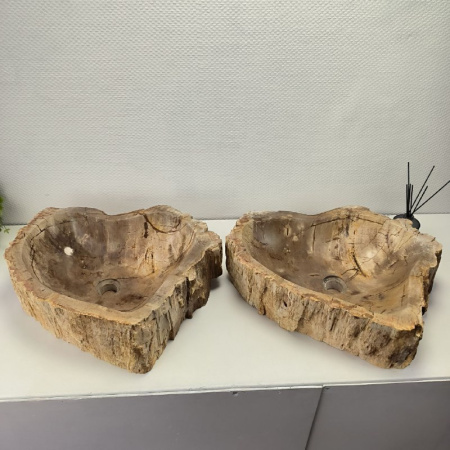 Раковина из окаменелого дерева ПАРА!! Fossil Basin OD-02096 (55*55*15) 0092