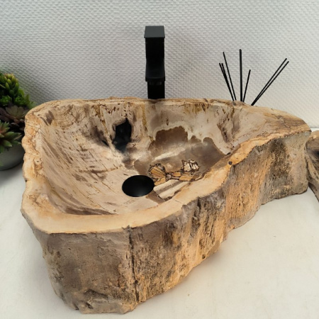 Раковина из окаменелого дерева Fossil Basin OD-02516 (59*43*15) 0089