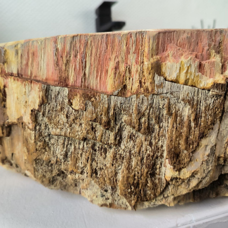 Раковина из окаменелого дерева Fossil Basin OD-02738 (67*56*15) 0090
