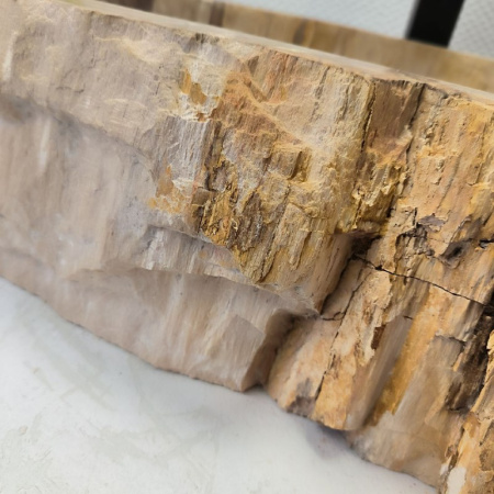 Раковина из окаменелого дерева Fossil Basin OD-02390 (63*39*15) 0090