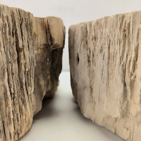 Раковина из окаменелого дерева ТРИО!! Fossil Basin OD-02102 (56*47*15) 0092