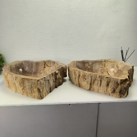 Раковина из окаменелого дерева ПАРА!! Fossil Basin OD-02096 (55*55*15) 0092